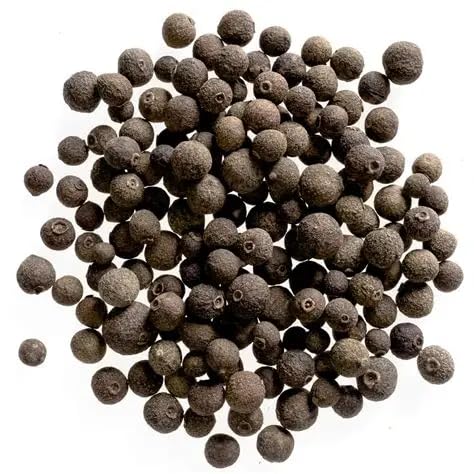 Image of Hybrid All Spice Plant /Sarvasugandhi Pimenta dioica, All Spice Pimenta Dioica spice scented leaf Kitchen Spice Live Plants & Tree (1-1.5 Ft Size) (All Spice Plant)