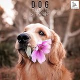  Go Dog Go Musical