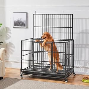 Yaheetech 42'' Heavy Duty Dog Crate Foldable Dog Cage for Medium/Large Dogs W/Double Doors/Removable Trays Yaheetech 42” Heavy Duty Dog Crate Foldable Dog Cage for Medium/Large Dogs W/Double Doors/Removable Trays