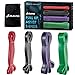 Pull Up Assistance Bands (Set of 4) | Resistance Loop Bands for Chin-Up Assist, Exercise, Strength Training, Fitness, Stretching and More | Heavy Duty Latex | Bonus Carry Bag and Workout Guide