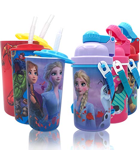 Kids Girls Disney Frozen Princess Carrying Strap Water Bottles with Lid, Reusable Built