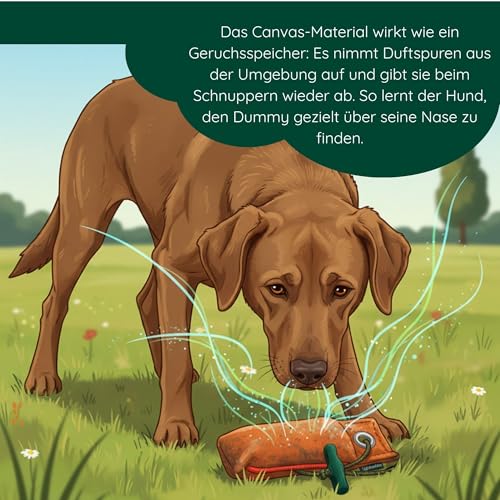 Romneys Suchen Dummy - Der Mini-Dummy für kleine Hunde 100g - Der Pocketdummy ist schwimmfähig und mit Wurfgriff (orange)