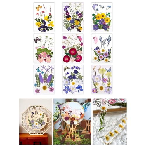 Flores secas prensadas para resina y manualidades miniatura 2