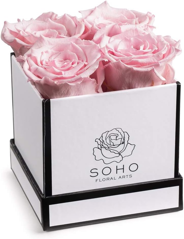 Amazon.com : Forever Roses | 100% Real Preserved Roses, Fresh Flowers ...