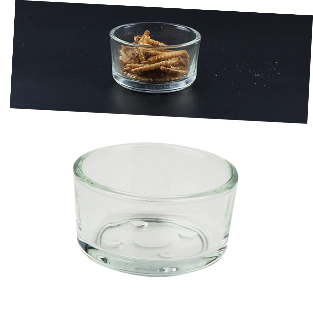 Abaodam 4pcs Transparent Glass Pet Reptile Feeder Bowl for Lizard Turtle and Feeding Durable and Easy to Clean Water Food Dish for Reptiles