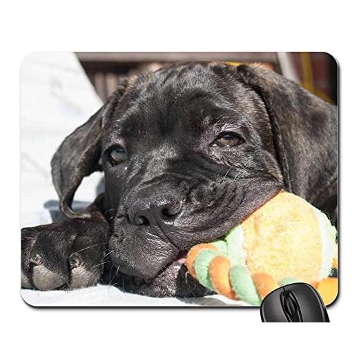 Datormusmatta hund valp Cane Corso söt musmatta sydda kanter tangentbordsdyna personlig musmatta för kontor arbete spelare 25 x 30 cm