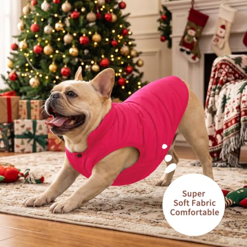 Image of JoyDaog Fleece Lined Dog Jacket for Small Dogs,Winter Dog Coat,Pink XS | Warm Windproof Puppy Vest for Cold Weather,Soft Cozy Doggie Clothes for Smaller Dog Breeds,Indoor Sleeping,Daily Walk