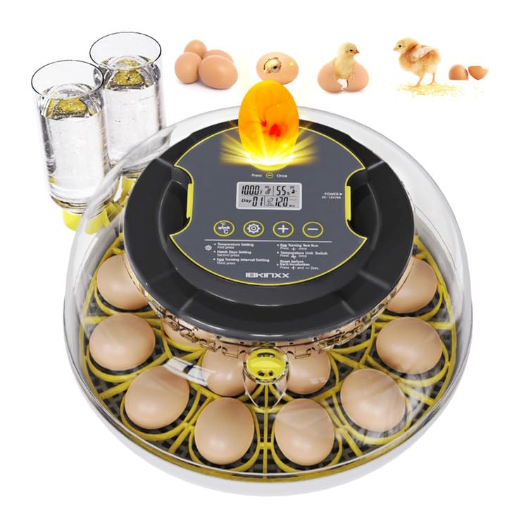 IBKINXX Incubator for Hatching Eggs-18 Egg Capacity, 2026 Newly Upgraded Automatic Egg Turner, Temperature & Humidity Control, 360° Viewing for Chicken, Duck and Quail Eggs (Black)