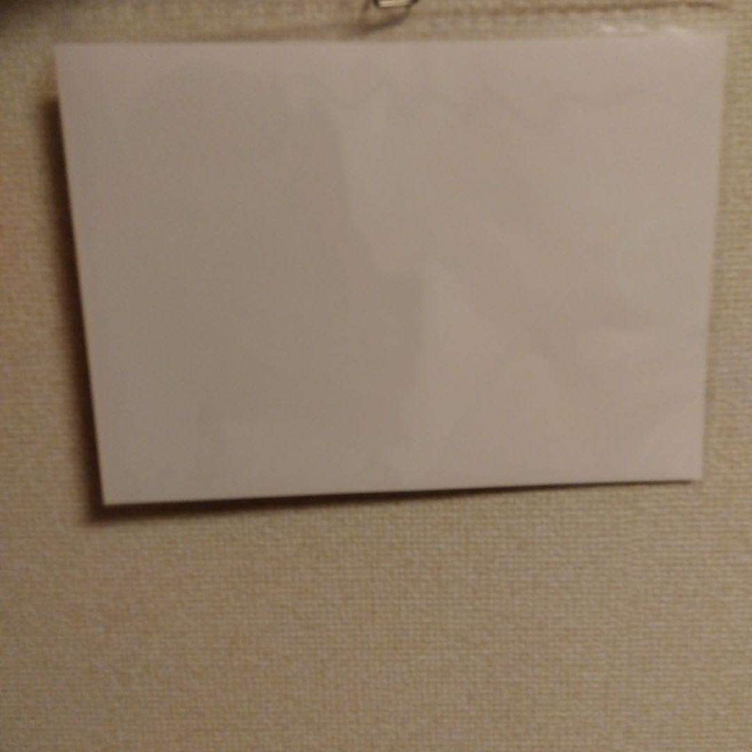 Amazon.co.jp: GMML道重さゆみ 佐藤優樹 ペアピンポスNo56さゆまー