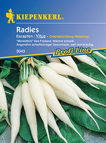 Sperli Gemüsesamen Rettich Eiszapfen/Vitus, grün