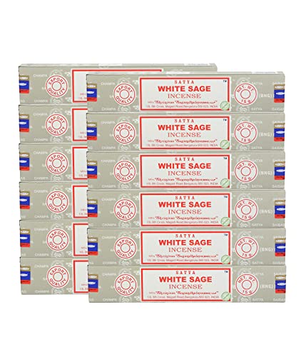 Satya Nag Champa White Sage Incense Sticks, Satya Sai Baba Bng (Bangalore) Insenses 15Gmx12 Pack With Raajsee Incense Holder Bundle , Satya Nag Champa Natural Incense #TOP1