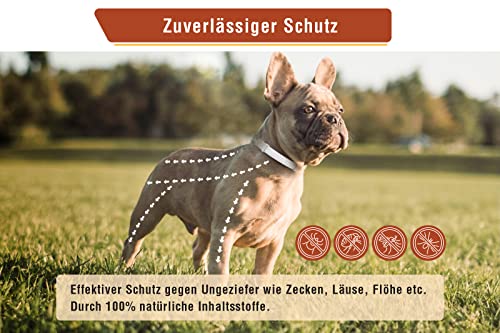 Animal Vita® Zeckenhalsband für kleine Hunde - 100% natürliche Inhaltsstoffe - bis zu 8 Monate zuverlässiger Zeckenschutz