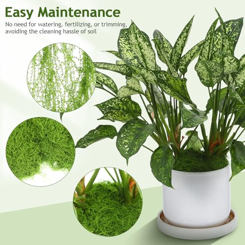 Musgo artificial SHINEOFI de liquen falso suave para proyectos creativos 8