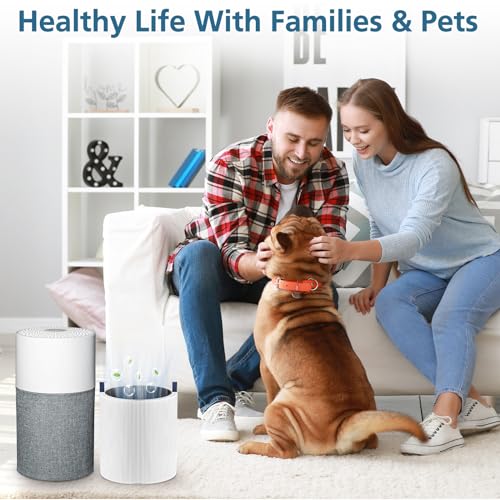 Image of 2-pack Blue Pure 511 Replacement Filter Compatible with Blueair Blue Pure 511 Air Purifier, Ture HEPA Filters and Activated Carbon Filter