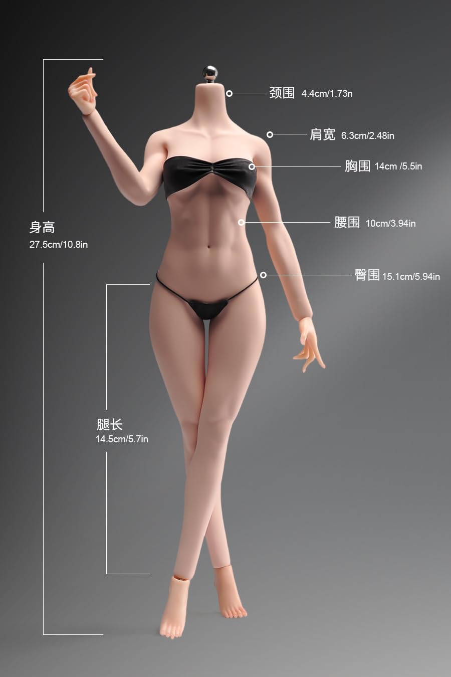 Amazon.co.jp: [TOYBARJAPAN]1/6スケール アクションフィギュア用