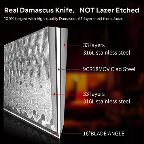 Image of 8 inch Damascus Chef Knife, Japanese 67 Layer 9CR18MOV Clad Steel Ultra Sharp kitchen Knife, Ergonomic Resin Handle Gyuto Sushi Knife,professional Chef's Knives with Sheath