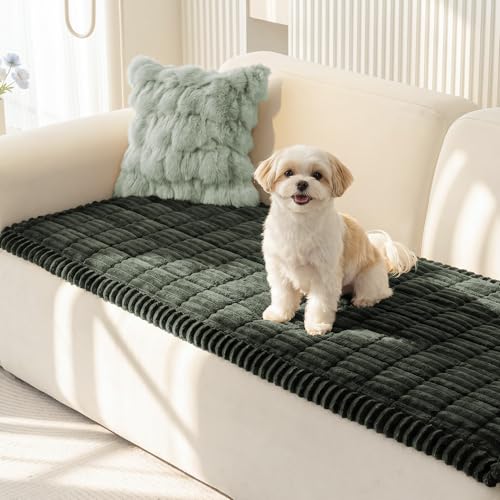 MEETSKY Pet Couch Cover, Non Slip Green Sofa Covers for 2 Cushion Couch