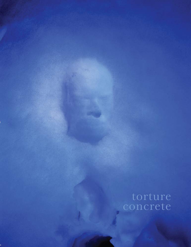 Buy Torture Concrete: Jean-Luc Moulène and the Protocol of Abstraction: Jean-Luc Moulène and the Protocol of Abstraction — BookShops.in