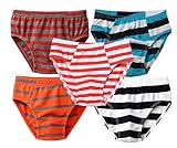 jsr Boy's Knitted Cotton Character Prints Soft and Smooth Inner Elastic Briefs Combo Set (Multicolour, 6-7 Years) -Pack of 5