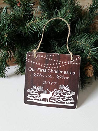our first christmas ornament 2017