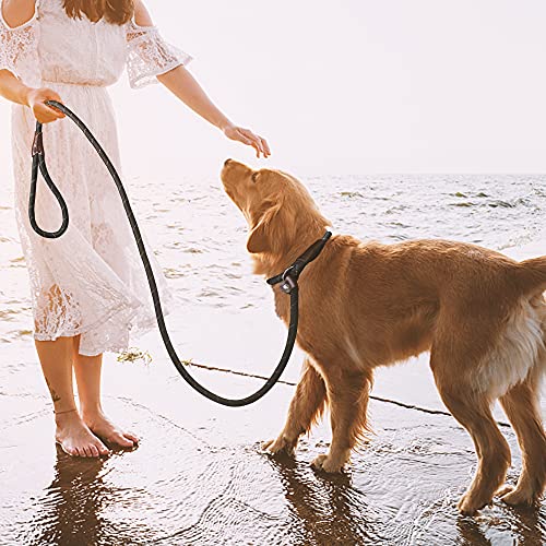 Twoear Dog Leash Dog Slip Rope Leash 1/2" X 6Ft Dog Training Leash Heavy Duty Strong Slip Lead Highly Reflective Threads For Small Medium And Large Dogs(Black) #TOP6