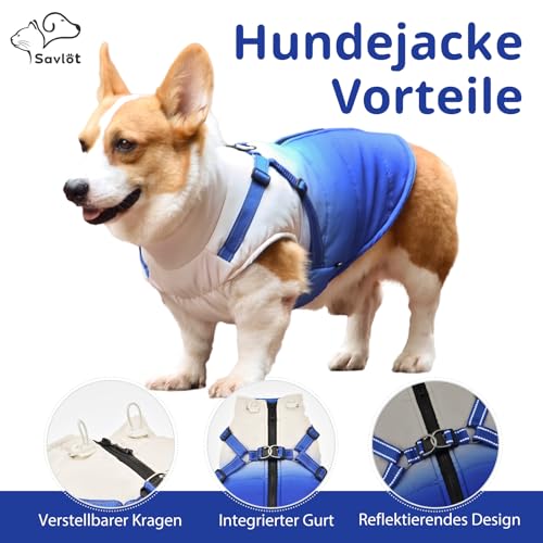Savlot Hundejacken für den Winter Wasserdichter Hundemantel Winter Warme Jacke Welpen Winter Warme Jacke Kleines Hundejacke Outfit für kleine mittel Hunde(XL, Blau)