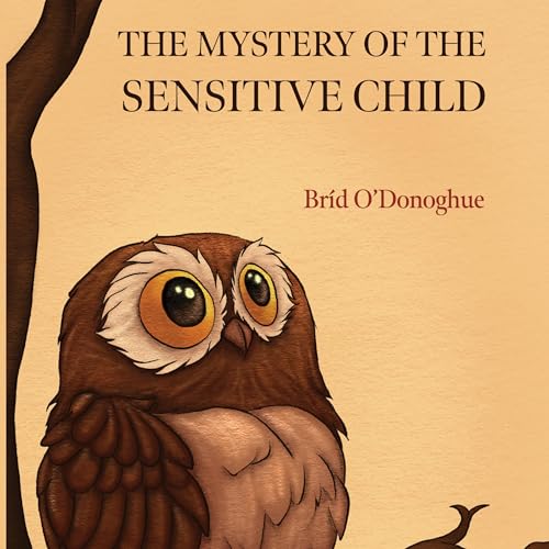 The Mystery of the Sensitive Child by Brid O'Donoghue episode artwork