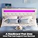 GREENSTELL Headboard for Queen Size Bed with 60,000 DIY Color of LED Light, USB & Type C Post, Attach Frame, Height Adjustable, White Leather Wall Mounted Head Boards Only, Sturdy & Stable, Queen