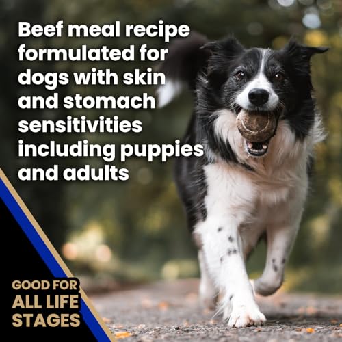 Image of VICTOR Sensitive Skin & Stomach - Beef Meal & Brown Rice Dog Food, 5 lb | Super Premium Dog Food, Gluten Free, No Chicken, Ideal for Dogs with Allergies, Dry Kibble, Adult and Puppy Dog Food, 5lbs