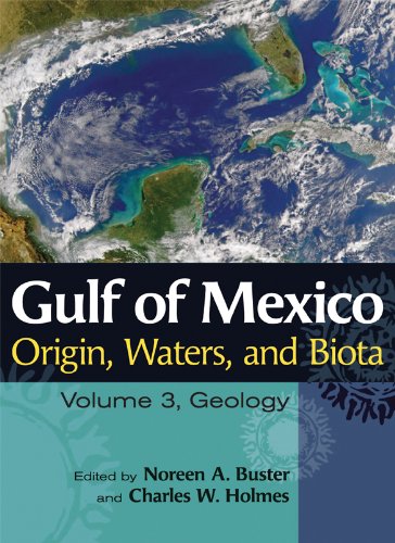 Gulf of Mexico Origin, Waters, and Biota: Volume 3, Geology