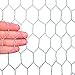 20GA Galvanized Hexagonal Poultry Netting Chicken Wire 24 inches x 150 feet x 1 inch Mesh