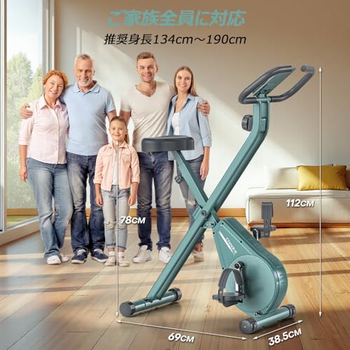 CHAOKE CHAOKE 918T フィットネスバイク の商品画像 5