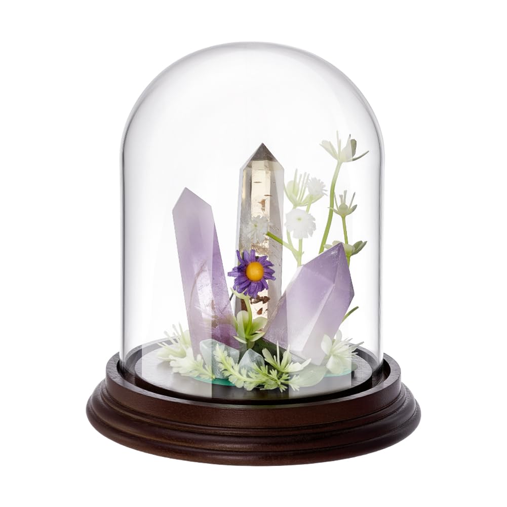 PH PandaHall 5.1x5.5 inch Glass Display Dome Cloche Glass Bell Jar with Wooden Base, Decorative Clear Glass Dome for Flower Storage Home Christmas Party Favor Decoration