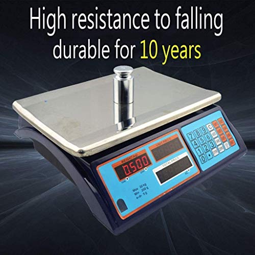 Báscula Electrónica Portátil 40kg x 10g Acero Inoxidable miniatura 5