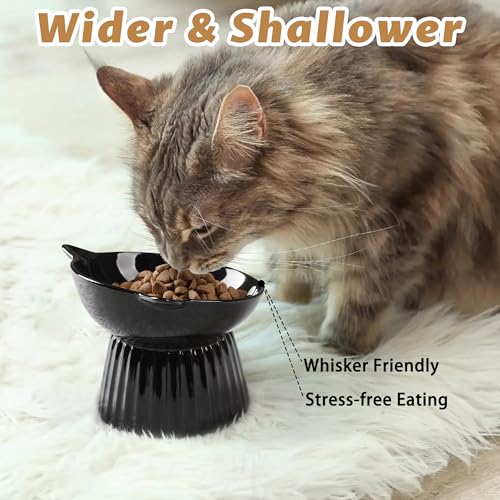 Wellbro-Ceramic-Raised-Cat-BowlTilted-Raised-Cat-Bowl-Anti-Vomit-Cat-Bowls-for-Indoor-Cats-Whisker-Friendly-Pet-Feeder-for-Cats-Puppies-Microwave-and-Dishwasher-Safe