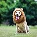 TOMSENN Realistic & Funny Lion Mane for Dogs Complementary Lion Mane for Dog Costumes for Medium to Large Sized Dogs Costumes for Animals