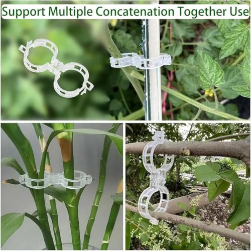 Image of Plant Support Clip | plant climbing wall clips | creeper wall holder | money plant clips for wall support | clips for plants support on wall (Pack of 50 Pcs, Plastic)
