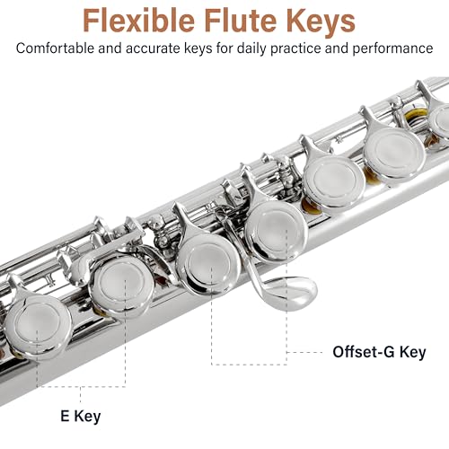 Image of Mendini by Cecilio 16 Keys Closed Hole C Flute Kit for Beginners - Silver | Beginner Flute Kit with Carrying Case, Stand, Tuning Rod, Adjustment Screws, Cork Grease, Lesson Book, Cleaning Kit, Gloves