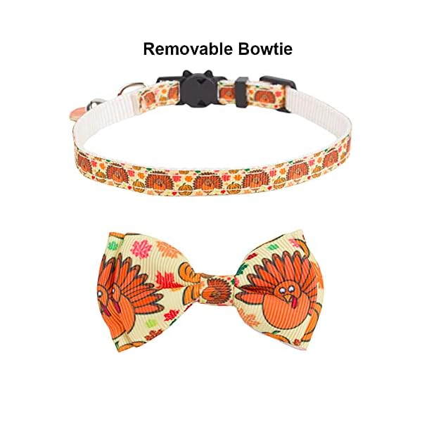 Adoggygo thanksgiving cat collars with bow bell, breakaway cat collar with bowtie pumpkin cat kitten collar for girl boy cats kittens (thanksgiving) - image 6