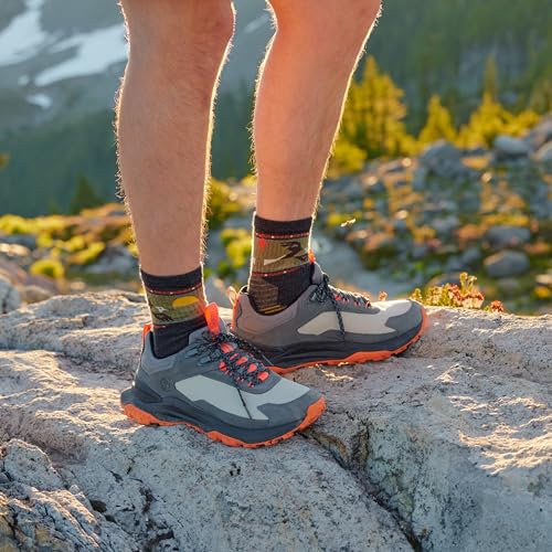 Smartwool Men's Hike Light Cushion Soaring Print Mid Crew Socks2