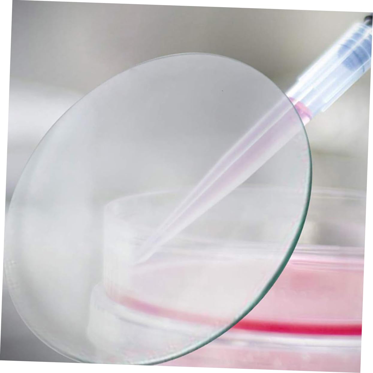 Vetri Da Laboratorio Per Orologi 10 Pezzi Becher in Per Accessori Da Laboratorio Chimico Lisci Per Una Facile Pulizia