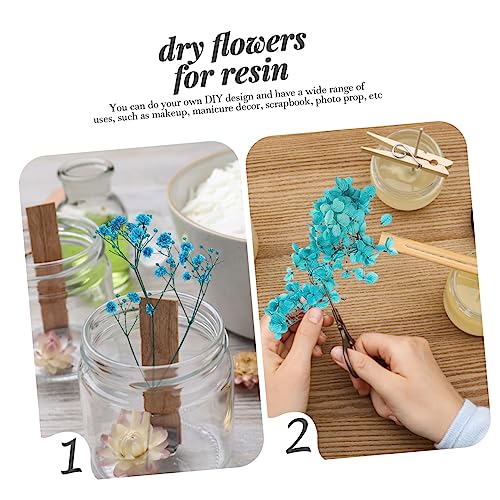 Kit de Flores Secas para Manualidades y Decoración Natural miniatura 2