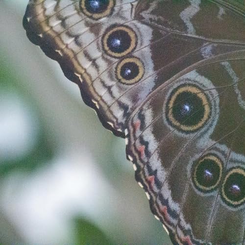 Gedanken am fr&uuml;hen Morgen - Feindesliebe konkret