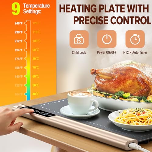 Commercial Electric Food Display Case