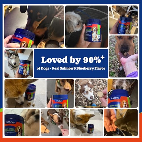Image of Flea and Tick Prevention for Dogs Chewable - 180 Soft Chews, Salmon & Blueberry Flavor - Dog Flea and Tick Treatment Chewable, Natural Defense- Dog Immune Support Supplement