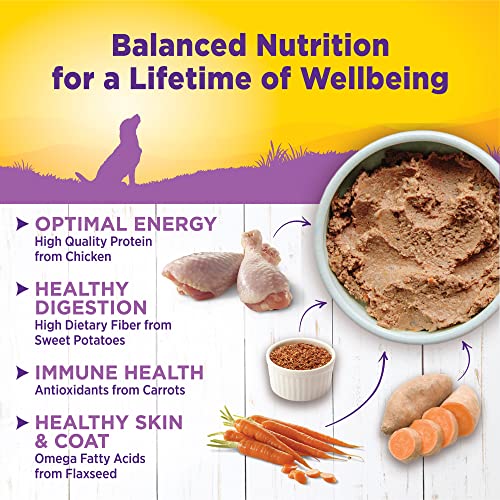 Image of Wellness Complete Health Pate Age Advantage Senior Canned Wet Dog Food, Wholesome Grains, Natural, Chicken and Sweet Potato, 12.5 oz, Pack of 12 Cans