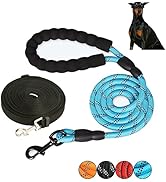 2 Laisse Chien Corde, Laisse Ajustable pour Gros Chien 10m et Laisse Anti Traction Chien 3m avec ...