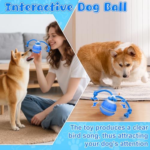 Interaktives Hundespielzeug, Interaktiver Spielball für Hunde, Hundeball Welpenspielzeug Ball Wicked Ball Dog Ball mit 3 Spielmodi, Elektrischer Hundeball mit Kauschnüren für Kleine Hunde & Welpen