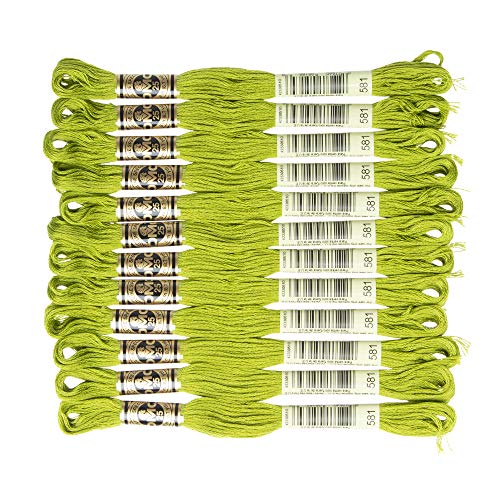 Image of DMC 6-Strand Embroidery Cotton Floss, Moss Green