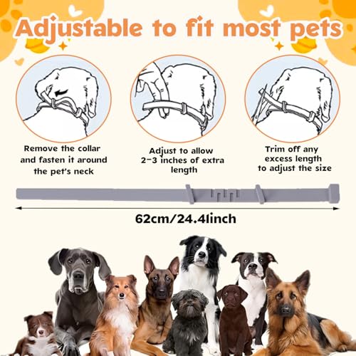 Zeckenhalsband für Hunde und Katzen,Flohhalsband Hunde Wasserdicht und Verstellbar,100% Natürliche Inhaltsstoffe,Bis zu 8 Monate Schutz Gegen Zecken und Flöhe Natürlichen Inhaltsstoffen